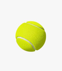 Sporting Goods Cricket Tennis Ball Yellow